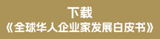 Download Chinese Whitepaper